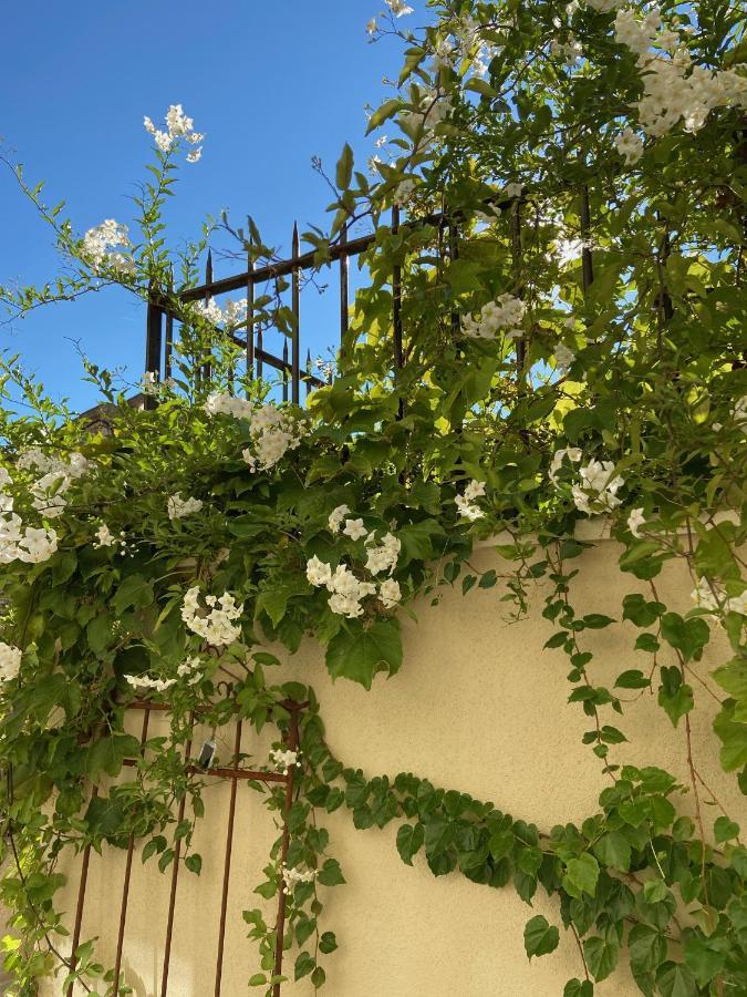 Le Jardinet De Rosa Maison De Village Ейґальєр Екстер'єр фото